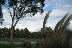 tuerkei2011-14