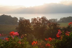 Attersee-2013-20