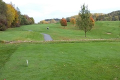 BadGriesbachi2017-20