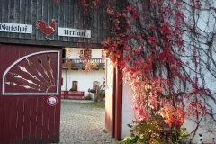 BadGriesbachi2017-33