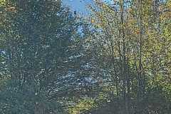 Kaernten-2022-24