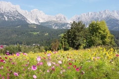 Kitzbuehl-2016-01